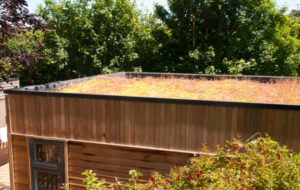 Flat sedum roof